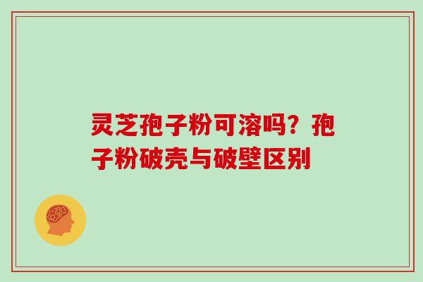 灵芝孢子粉可溶吗？孢子粉破壳与破壁区别