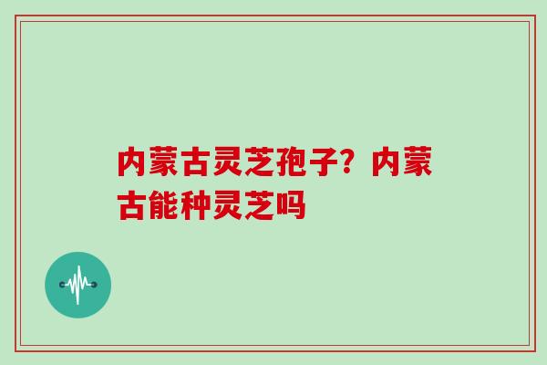 内蒙古灵芝孢子？内蒙古能种灵芝吗