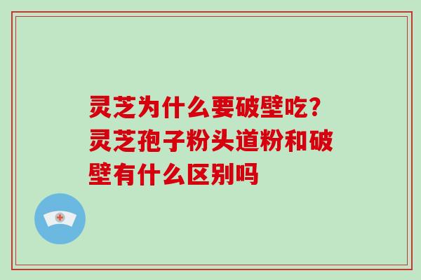 灵芝为什么要破壁吃？灵芝孢子粉头道粉和破壁有什么区别吗