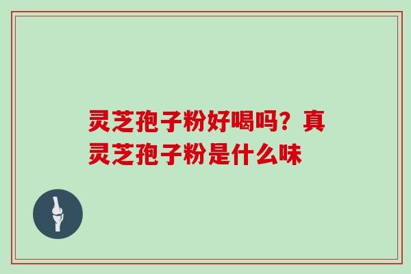 灵芝孢子粉好喝吗？真灵芝孢子粉是什么味