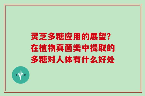 灵芝多糖应用的展望？在植物真菌类中提取的多糖对人体有什么好处