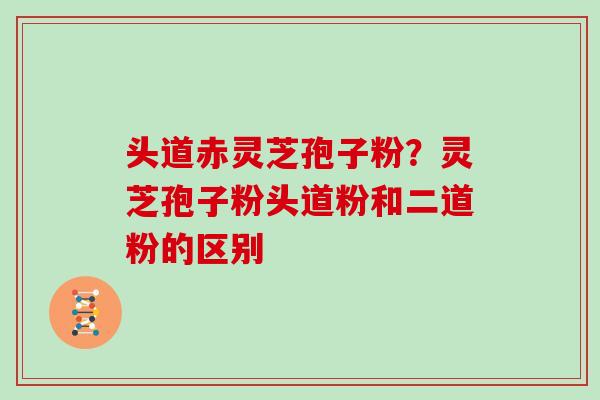 头道赤灵芝孢子粉？灵芝孢子粉头道粉和二道粉的区别