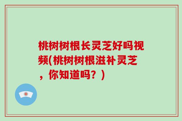 桃树树根长灵芝好吗视频(桃树树根滋补灵芝，你知道吗？)