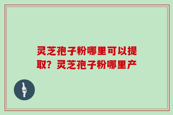 灵芝孢子粉哪里可以提取？灵芝孢子粉哪里产