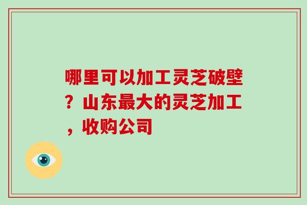 哪里可以加工灵芝破壁?山东最大的灵芝加工,收购公司-第1张图片-灵芝大师 哪里可以加工灵芝破壁?山东最大的灵芝加工,收购公司-第1张图片-灵芝大师