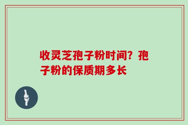 收灵芝孢子粉时间？孢子粉的保质期多长