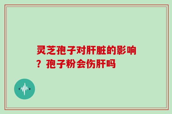 灵芝孢子对肝脏的影响？孢子粉会伤肝吗