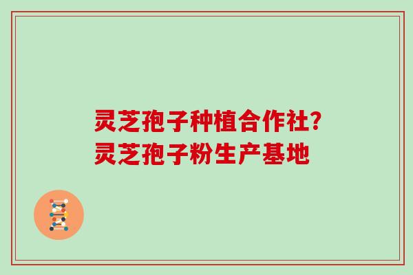 灵芝孢子种植合作社？灵芝孢子粉生产基地-第1张图片-灵芝大师