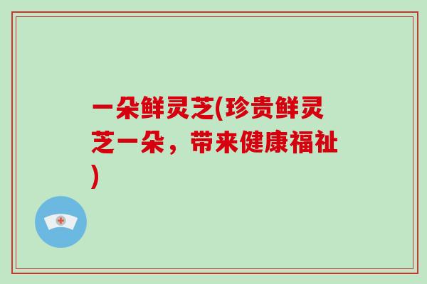 一朵鲜灵芝(珍贵鲜灵芝一朵,带来健康福祉)-第1张图片-灵芝大师 一朵鲜灵芝(珍贵鲜灵芝一朵,带来健康福祉)-第1张图片-灵芝大师