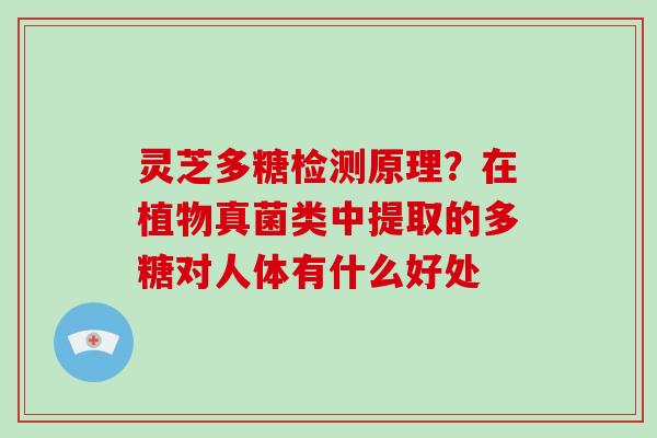 灵芝多糖检测原理?在植物真菌类中提取的多糖对人体有什么好处-第1张图片-灵芝大师 灵芝多糖检测原理?在植物真菌类中提取的多糖对人体有什么好处-第1张图片-灵芝大师