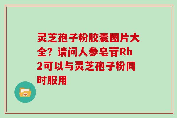 灵芝孢子粉胶囊图片大全?请问人参皂苷Rh2可以与灵芝孢子粉同时服用-第1张图片-灵芝大师 灵芝孢子粉胶囊图片大全?请问人参皂苷Rh2可以与灵芝孢子粉同时服用-第1张图片-灵芝大师