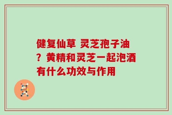 健复仙草 灵芝孢子油？黄精和灵芝一起泡酒有什么功效与作用-第1张图片-灵芝大师