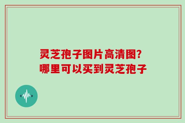 灵芝孢子图片高清图?哪里可以买到灵芝孢子-第1张图片-灵芝大师 灵芝孢子图片高清图?哪里可以买到灵芝孢子-第1张图片-灵芝大师