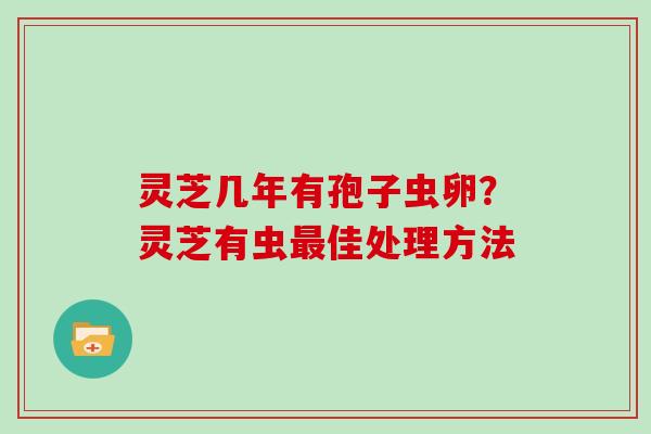 灵芝几年有孢子虫卵？灵芝有虫最佳处理方法-第1张图片-灵芝大师