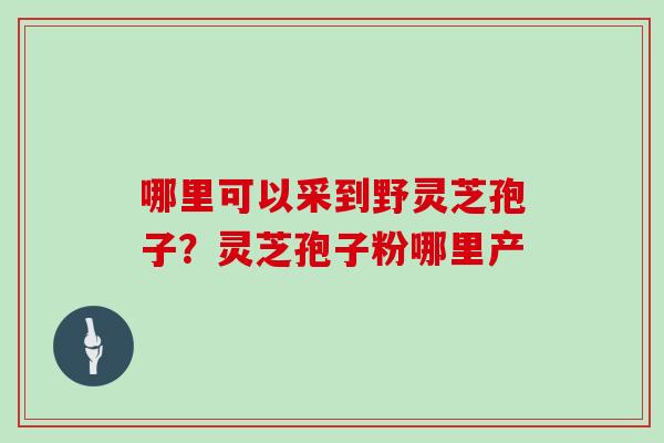 哪里可以采到野灵芝孢子?灵芝孢子粉哪里产-第1张图片-灵芝大师 哪里可以采到野灵芝孢子?灵芝孢子粉哪里产-第1张图片-灵芝大师