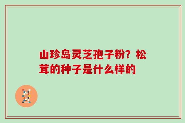 山珍岛灵芝孢子粉?松茸的种子是什么样的-第1张图片-灵芝大师 山珍岛灵芝孢子粉?松茸的种子是什么样的-第1张图片-灵芝大师