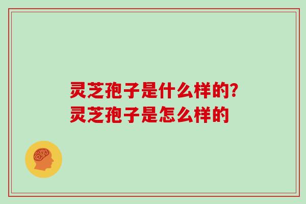 灵芝孢子是什么样的?灵芝孢子是怎么样的-第1张图片-灵芝大师 灵芝孢子是什么样的?灵芝孢子是怎么样的-第1张图片-灵芝大师