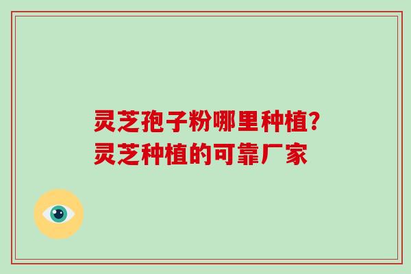 灵芝孢子粉哪里种植?灵芝种植的可靠厂家-第1张图片-灵芝大师 灵芝孢子粉哪里种植?灵芝种植的可靠厂家-第1张图片-灵芝大师