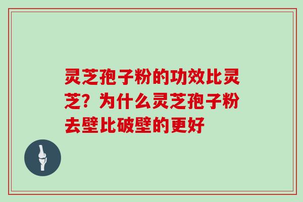灵芝孢子粉的功效比灵芝?为什么灵芝孢子粉去壁比破壁的更好-第1张图片-灵芝大师 灵芝孢子粉的功效比灵芝?为什么灵芝孢子粉去壁比破壁的更好-第1张图片-灵芝大师