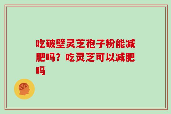 吃破壁灵芝孢子粉能减肥吗?吃灵芝可以减肥吗-第1张图片-灵芝大师 吃破壁灵芝孢子粉能减肥吗?吃灵芝可以减肥吗-第1张图片-灵芝大师