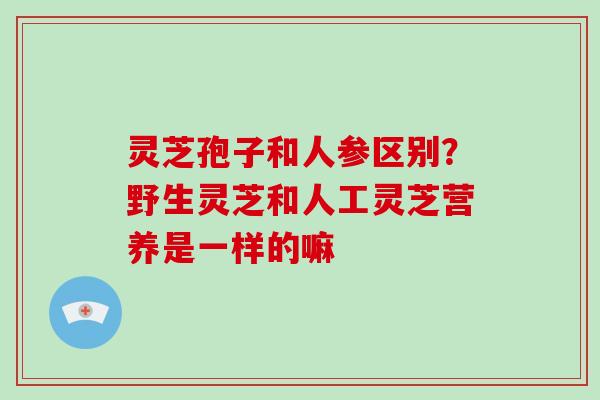 灵芝孢子和人参区别？野生灵芝和人工灵芝营养是一样的嘛-第1张图片-灵芝大师