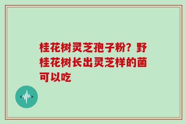 桂花树灵芝孢子粉？野桂花树长出灵芝样的菌可以吃