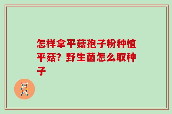 怎样拿平菇孢子粉种植平菇？野生菌怎么取种子