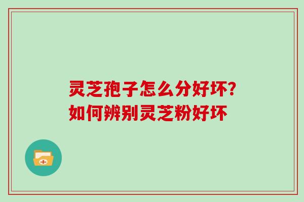 灵芝孢子怎么分好坏？如何辨别灵芝粉好坏