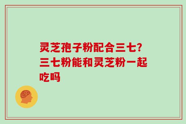 灵芝孢子粉配合三七?三七粉能和灵芝粉一起吃吗-第1张图片-灵芝大师 灵芝孢子粉配合三七?三七粉能和灵芝粉一起吃吗-第1张图片-灵芝大师