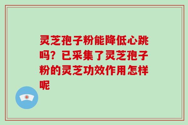 灵芝孢子粉能降低心跳吗？已采集了灵芝孢子粉的灵芝功效作用怎样呢