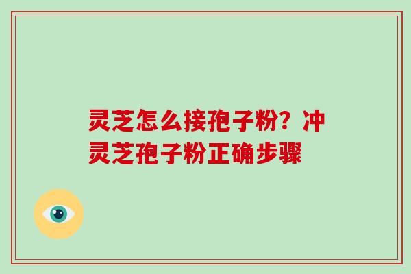 灵芝怎么接孢子粉？冲灵芝孢子粉正确步骤