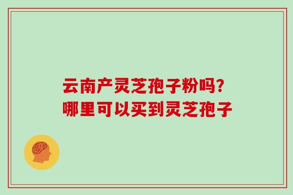 云南产灵芝孢子粉吗？哪里可以买到灵芝孢子