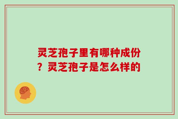 灵芝孢子里有哪种成份？灵芝孢子是怎么样的