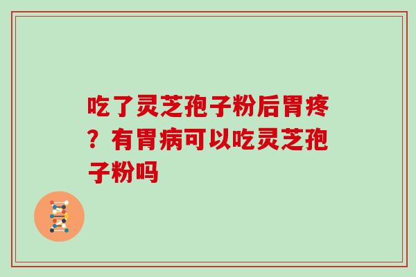 吃了灵芝孢子粉后胃疼？有胃病可以吃灵芝孢子粉吗