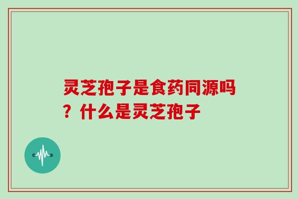 灵芝孢子是食药同源吗？什么是灵芝孢子