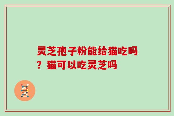 灵芝孢子粉能给猫吃吗？猫可以吃灵芝吗