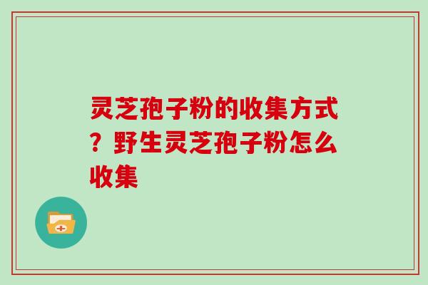 灵芝孢子粉的收集方式？野生灵芝孢子粉怎么收集