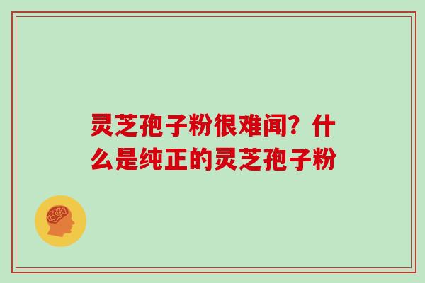 灵芝孢子粉很难闻？什么是纯正的灵芝孢子粉