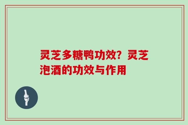 灵芝多糖鸭功效？灵芝泡酒的功效与作用