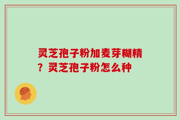 灵芝孢子粉加麦芽糊精？灵芝孢子粉怎么种