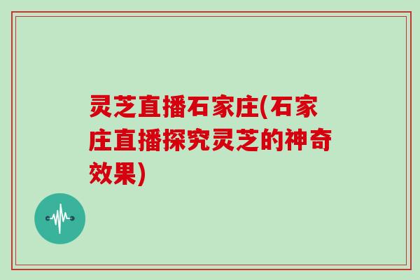 灵芝直播石家庄(石家庄直播探究灵芝的神奇效果)