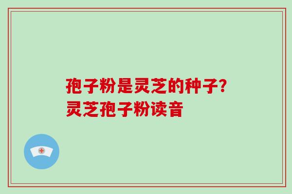 孢子粉是灵芝的种子？灵芝孢子粉读音