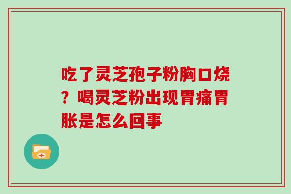吃了灵芝孢子粉胸口烧？喝灵芝粉出现胃痛胃胀是怎么回事