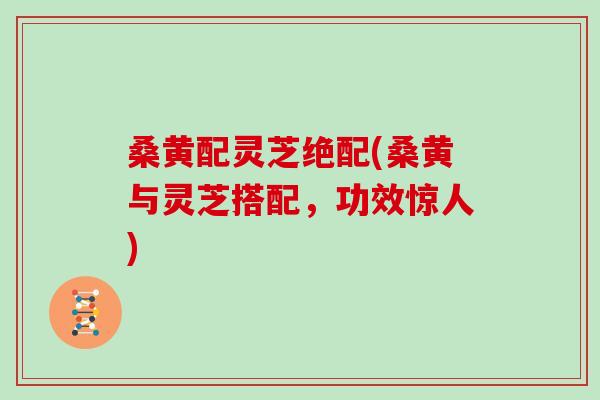 桑黄配灵芝绝配(桑黄与灵芝搭配，功效惊人)