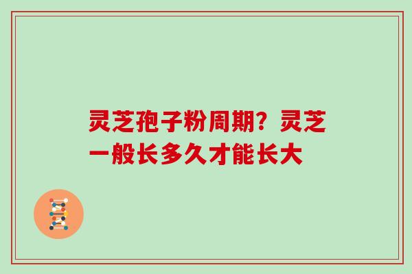 灵芝孢子粉周期？灵芝一般长多久才能长大-第1张图片-灵芝大师