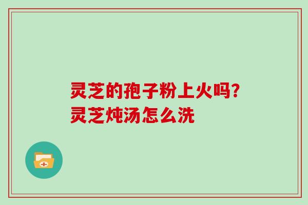 灵芝的孢子粉上火吗？灵芝炖汤怎么洗
