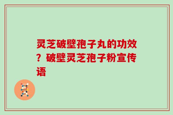 灵芝破壁孢子丸的功效？破壁灵芝孢子粉宣传语