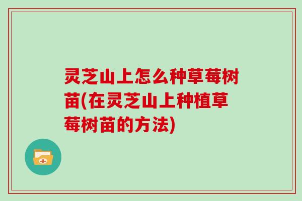灵芝山上怎么种草莓树苗(在灵芝山上种植草莓树苗的方法)