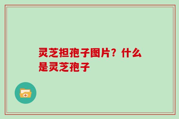 灵芝担孢子图片？什么是灵芝孢子