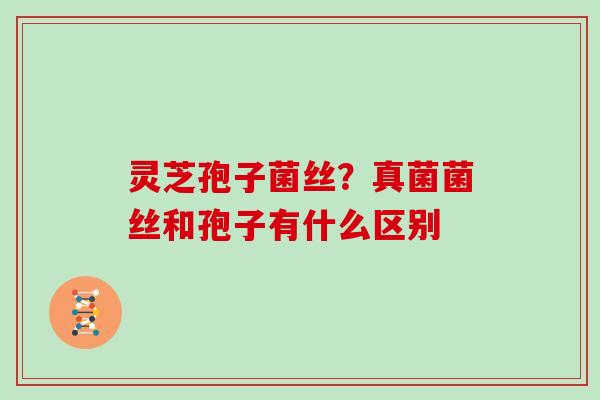 灵芝孢子菌丝？真菌菌丝和孢子有什么区别